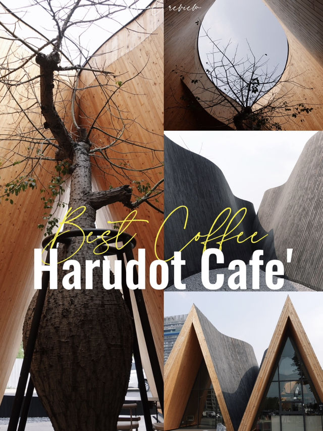Harudot Cafe' Pattaya, Best Coffee place