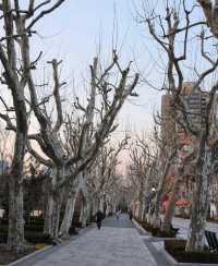 復興公園/思南書局