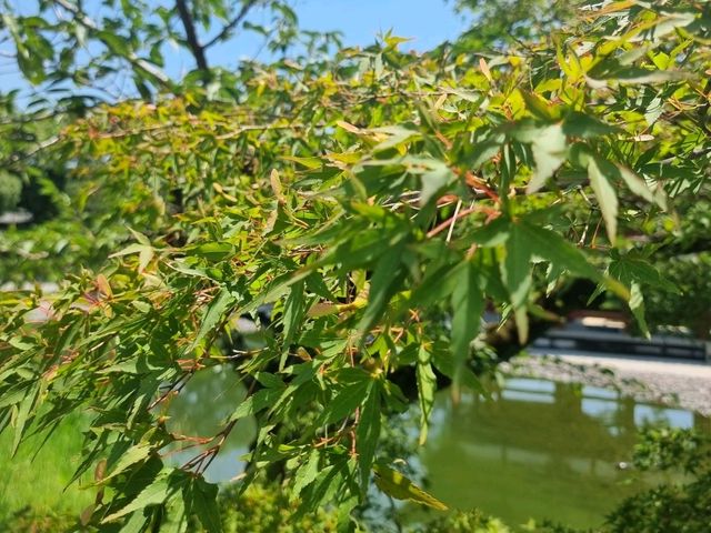วัดเบียวโด平等院