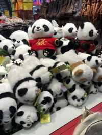Chengdu 4 Days trip