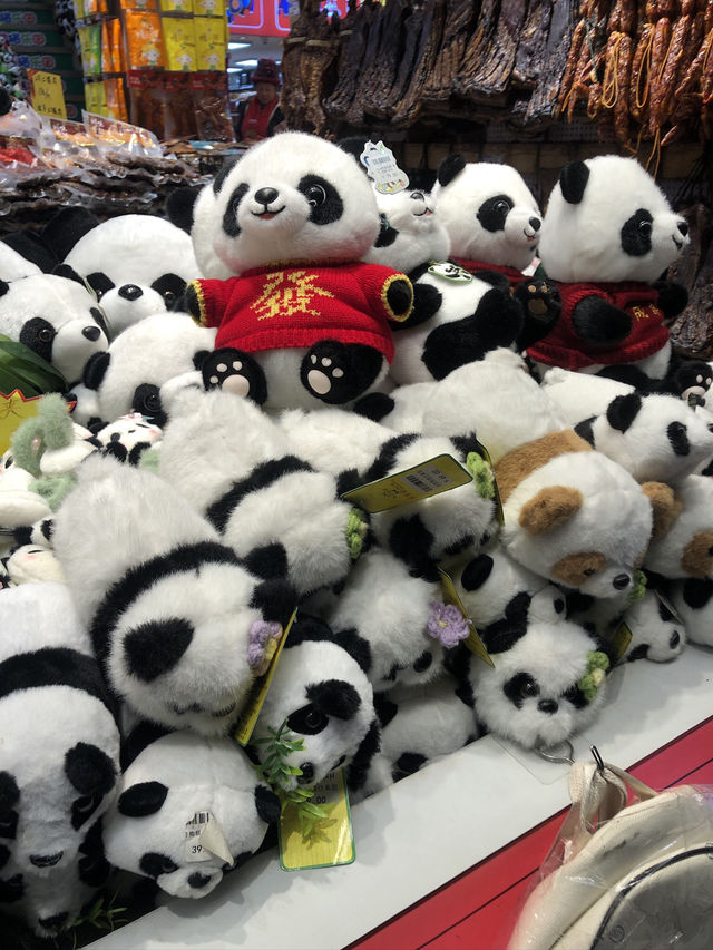 Chengdu 4 Days trip