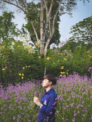 แม่ฟ้าหลวง花園 