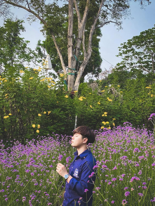 สวนแม่ฟ้าหลวง 