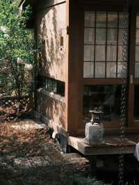 🇨🇳 Exploring China’s Treasures: Jingdezhen, San Qing Shan, and Wuyuan