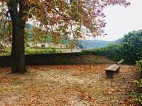 Romantic Honeymoon in Heidelberg, Germany