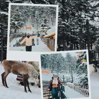 Winter Trip to Magical Snow Town ❄️☃️⛄️🇨🇳