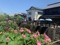 【千葉・佐原】風情ある町並みと名物グルメを楽しむ旅