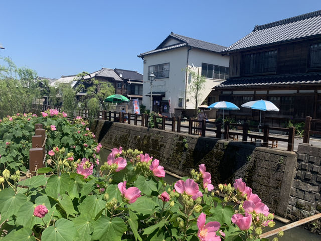 【千葉・佐原】風情ある町並みと名物グルメを楽しむ旅