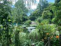 北川村「モネの庭」マルモッタン