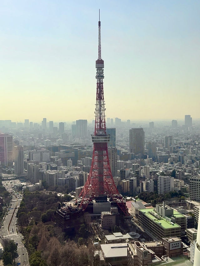 Amazing Lunch Buffet at XEX ATAGO GREEN HILLS with a View of Tokyo Tower