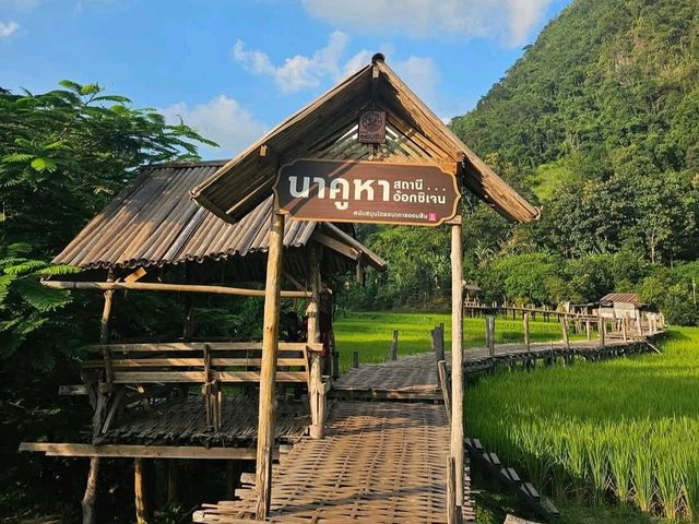 วัดนาคูหา