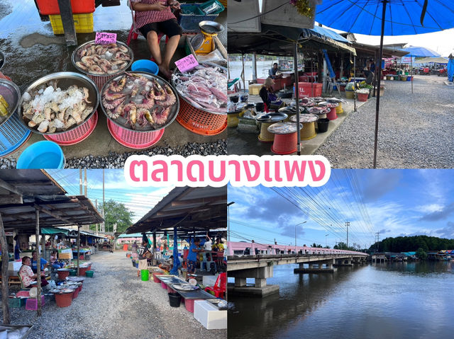 ตลาดบางแพง