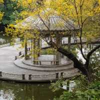 雲溪生態公園•好山好水