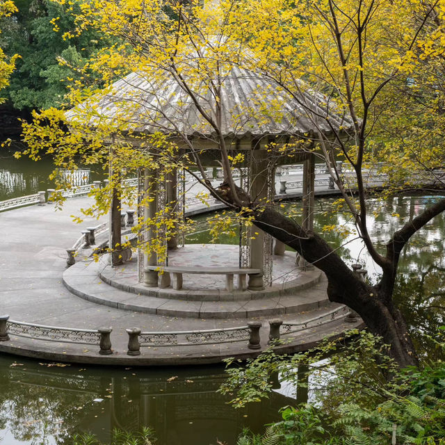 雲溪生態公園•好山好水