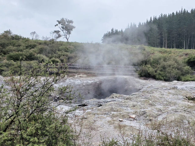 新西蘭｜Wai-O-Tapu 地熱溫泉館♨️