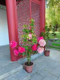 A Perfect Blend of Culture and Nature