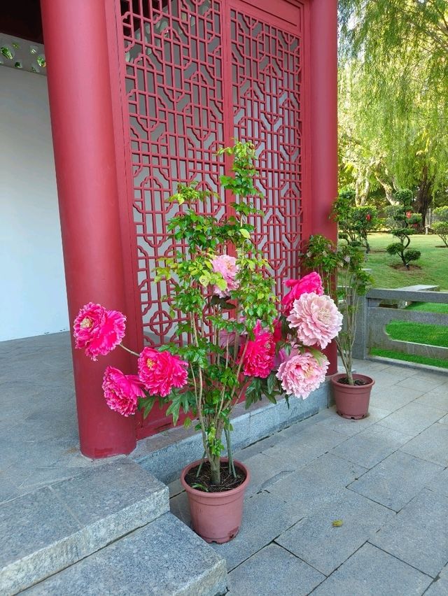 A Perfect Blend of Culture and Nature