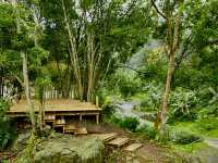 藏在深山的“6號公園”露營區也是網美景觀餐廳喔！