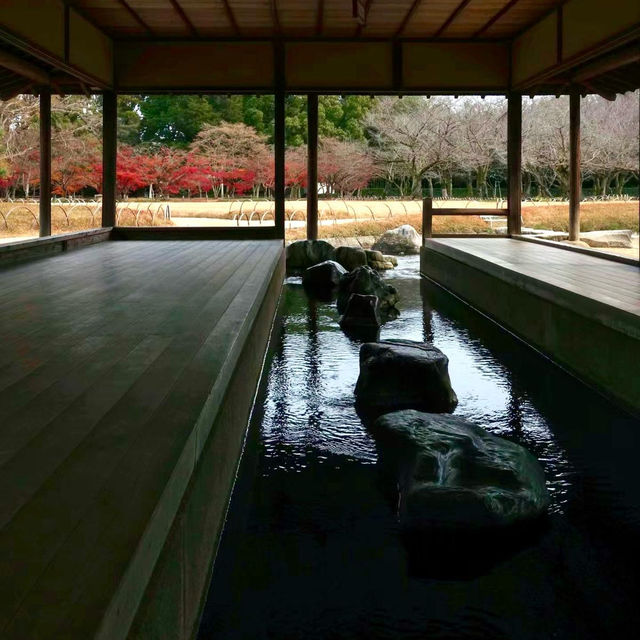 ～舞鶴公園～沉淀在時光中的靜謐～