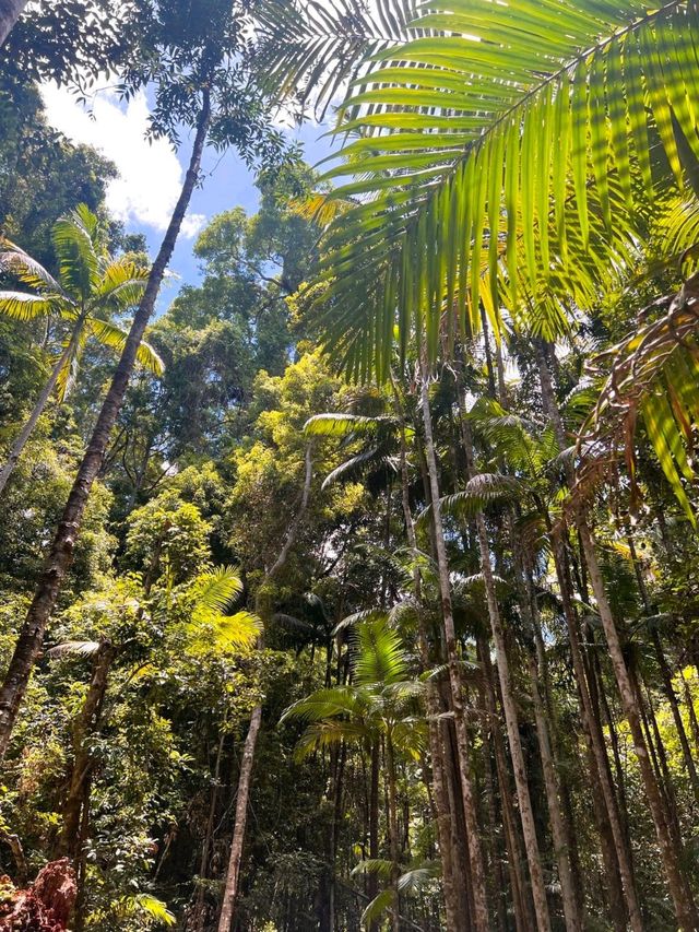 Fraser Island
