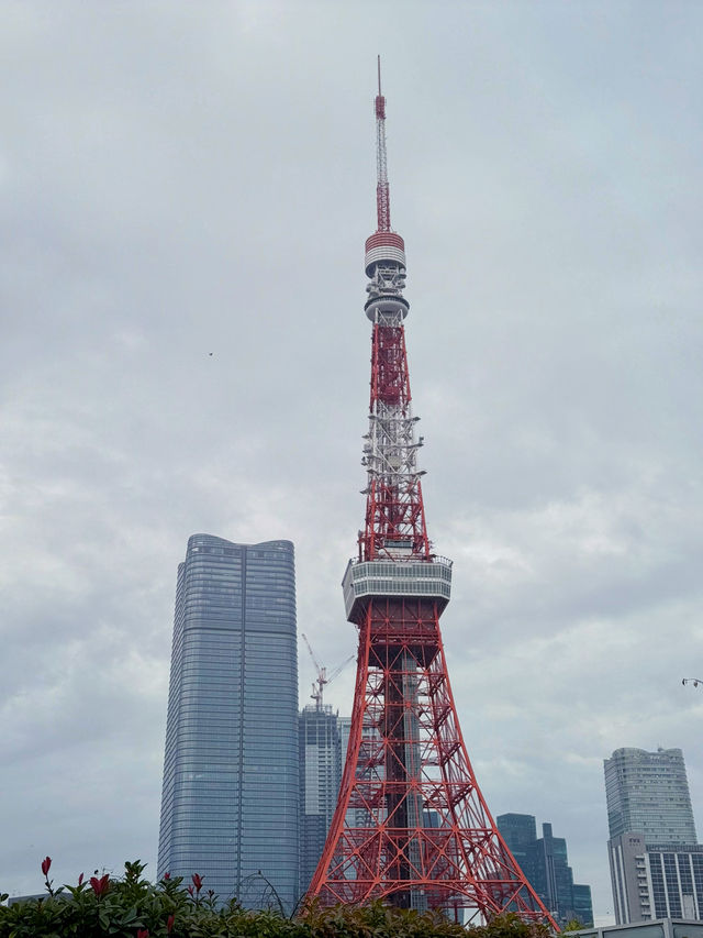 東京芝公園的奇妙之旅 🌸