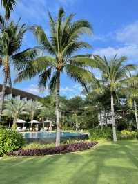 눈호강하는 가성비 나트랑 호캉스 보마리조트🌴