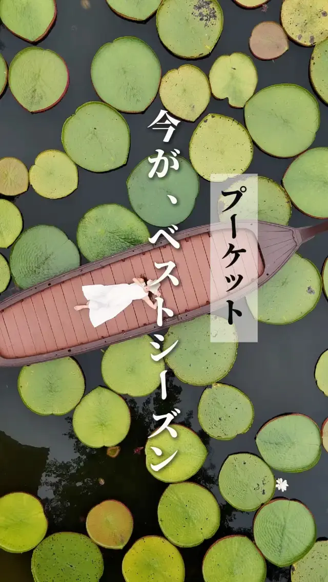 【タイ】今がベストシーズン!!プーケットおすすめスポット✨