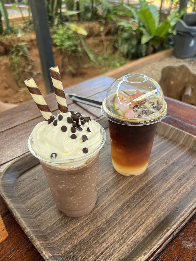 チェンマイ🇹🇭🐘と触れ合えるcafe