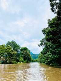 Hike through the Lush Green Wilderness