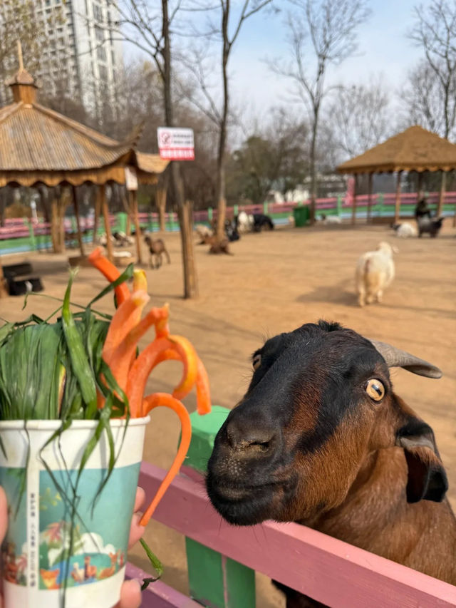 🏜 昆明｜白鹿森林——摩洛哥風情小鎮 🇲🇦