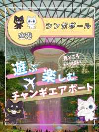 【シンガポール】チャンギ空港がスゴイ！