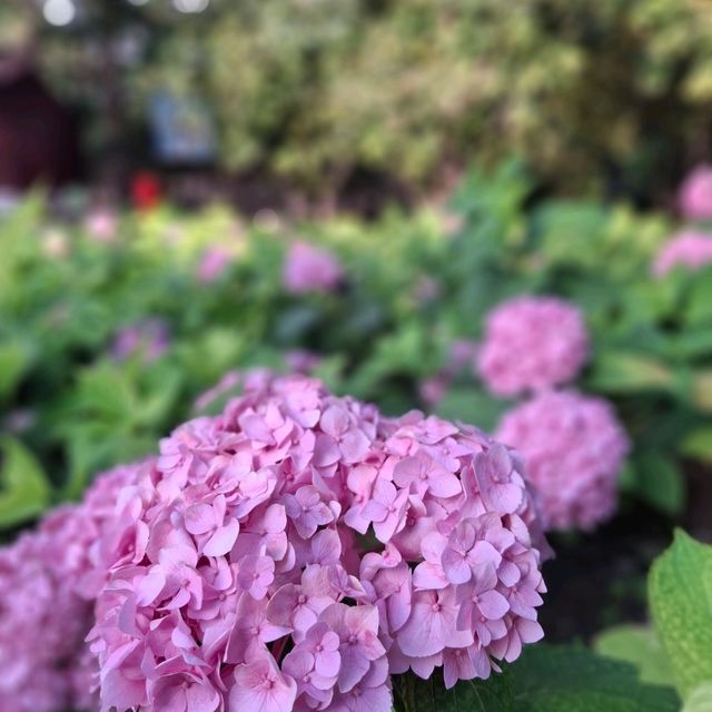 Fresh Park in Beijing