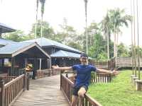 “Spring into Adventure With Niah Cave”