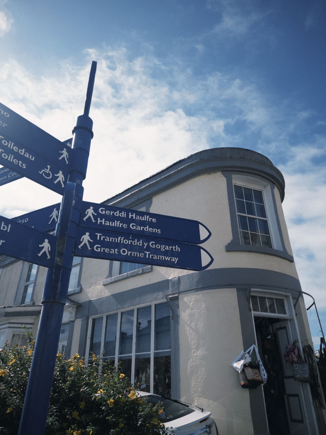 🏖️ Llandudno（ランディドノ）一日游攻略 🚋