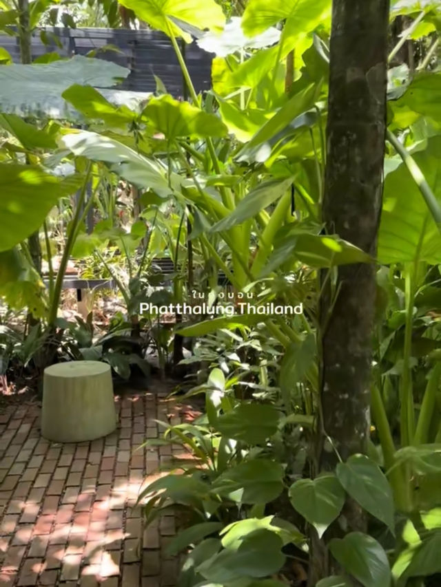 คาเฟ่กลางสวน บรรยากาศร่มรื่นที่ ในดงบอน คาเฟ่