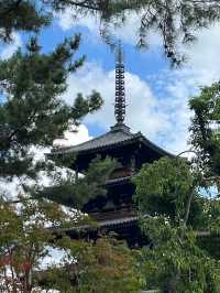 關西11日遊（下）