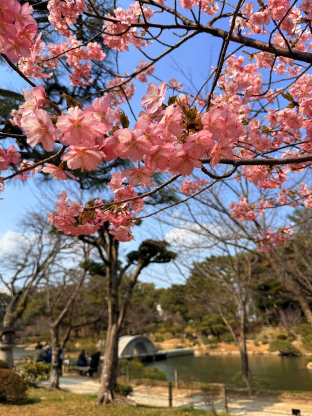 廣島｜泉水屋敷到縮景園 經過原爆悲劇後重現400年前庭園