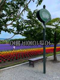 여름에 꼭 가야하는 비에이투어 코스 소개