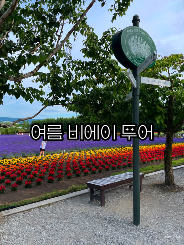 여름에 꼭 가야하는 비에이투어 코스 소개