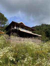 Mori Natural Farm (โมริ เนเชอรัลฟาร์ม)