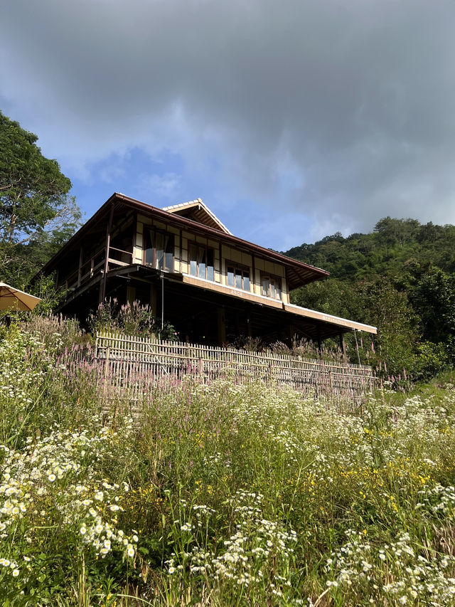Mori Natural Farm (โมริ เนเชอรัลฟาร์ม)