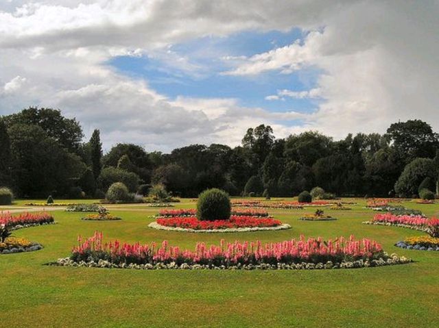 Abbey Park: A hiidden natural gem in Leicester!