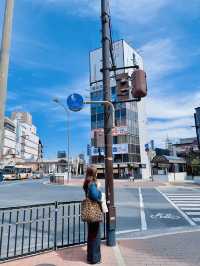 벚꽃을 보기 좋은 일본 오카야마