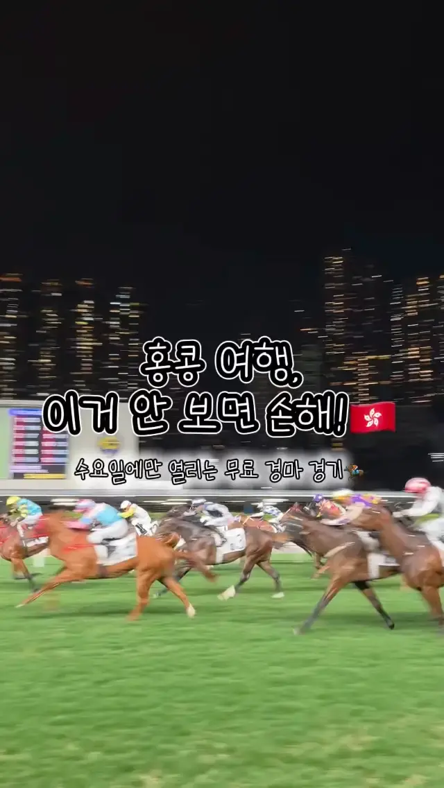홍콩 여행 중에 수요일이 포함된다면?