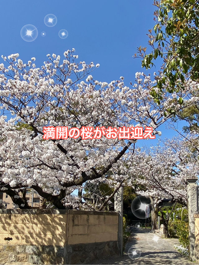 知多四国霊場巡り　第20番礼所　龍台院