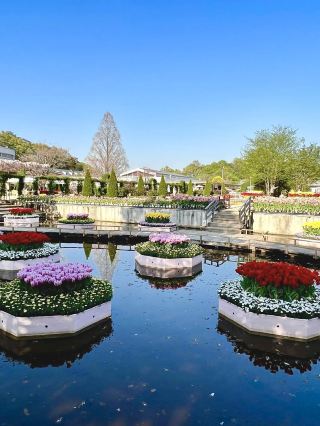 Spring Day Trip to Ashikaga Flower Park