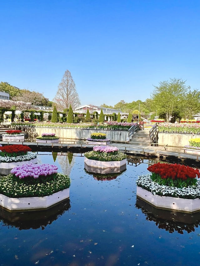 Spring Day Trip to Ashikaga Flower Park