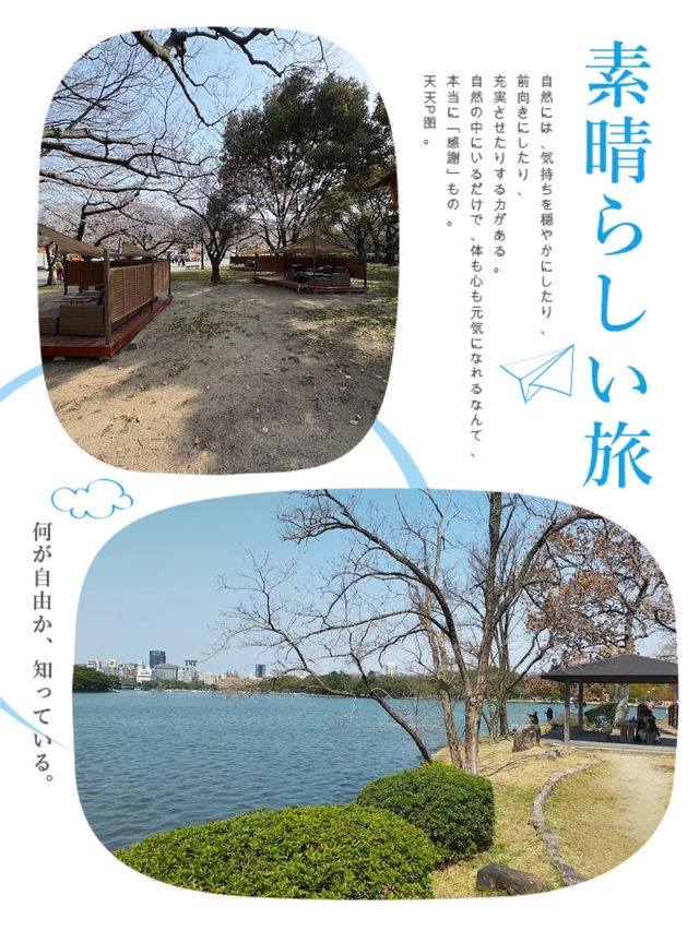 春日湖景賞花，就在大濠公園🌸