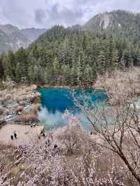 特種兵成都九寨溝峨眉都江堰五日四夜遊