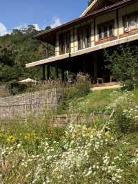 Mori Natural Farm ฟาร์มไตล์ญี่ปุ่น น่ารักมากกกก